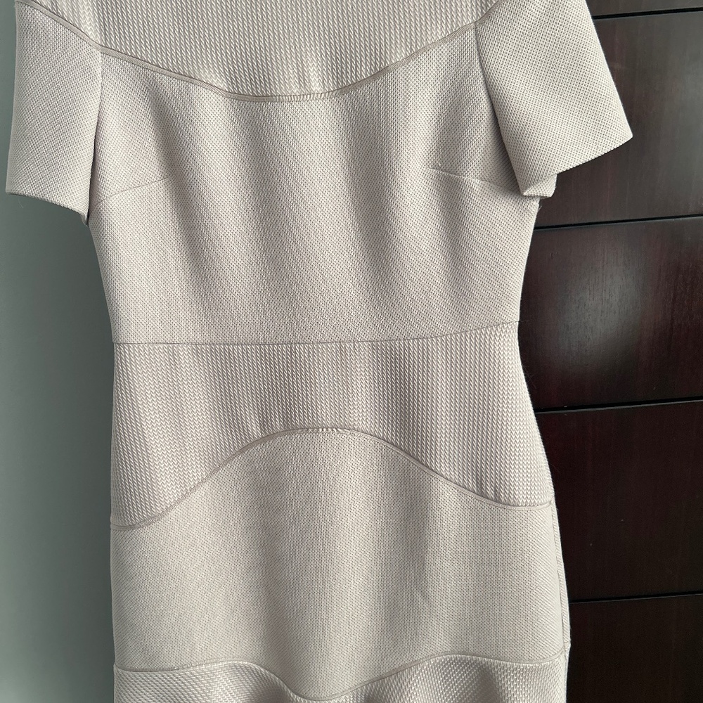 Reiss dress